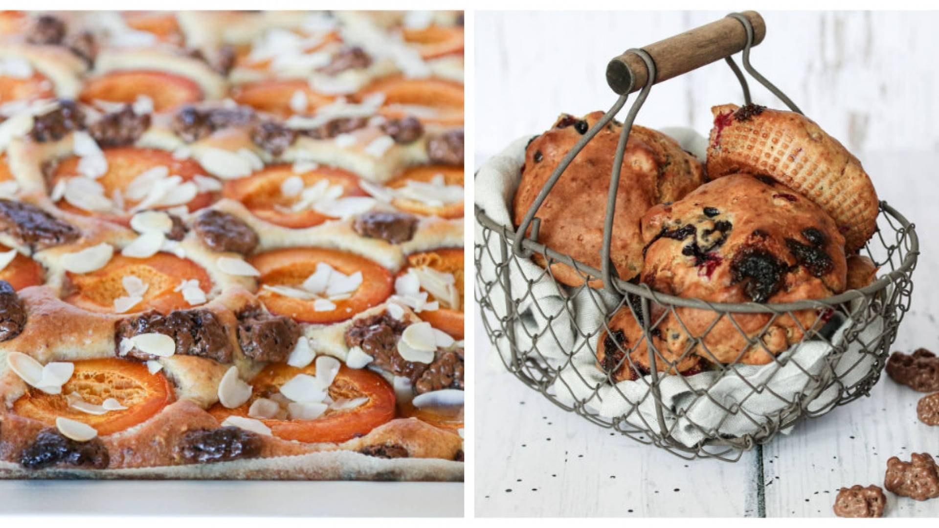 Aprikosen-Blechkuchen und die Buttermilch-Brötchen mit Ovo Rocks