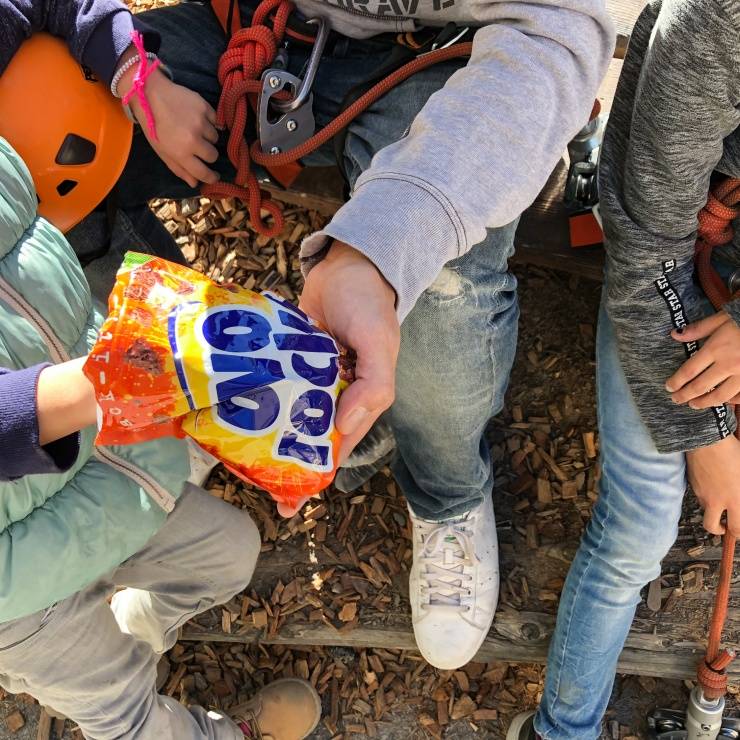 Accrobranche avec Ovo Rocks