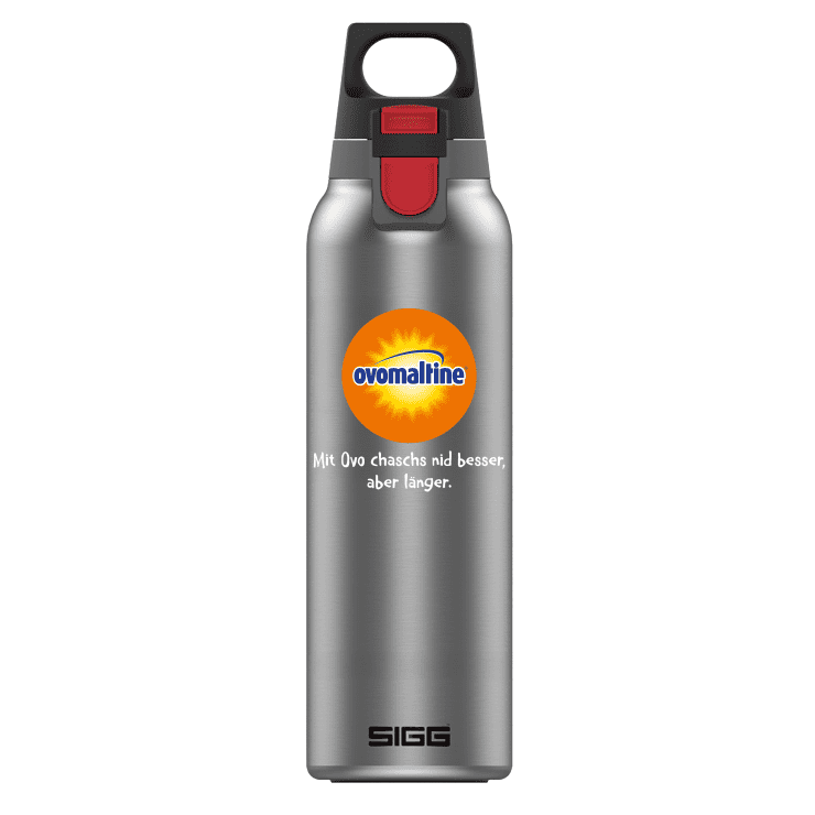 Sigg Flasche